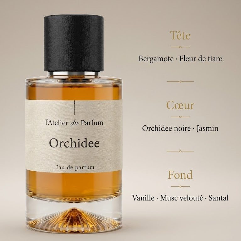 Orchidee n°6